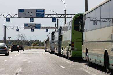 Автомобили на границе. Август 2025 года, Брест. Фото: onliner.by