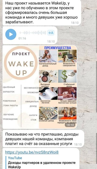 Проект Wake UP, под которым скрывается "Орифлейм". Ноябрь 2023 года. Фото: скриншот переписки Проект Wake UP, под которым скрывается "Орифлейм". Ноябрь 2023 года. Фото: скриншот переписки