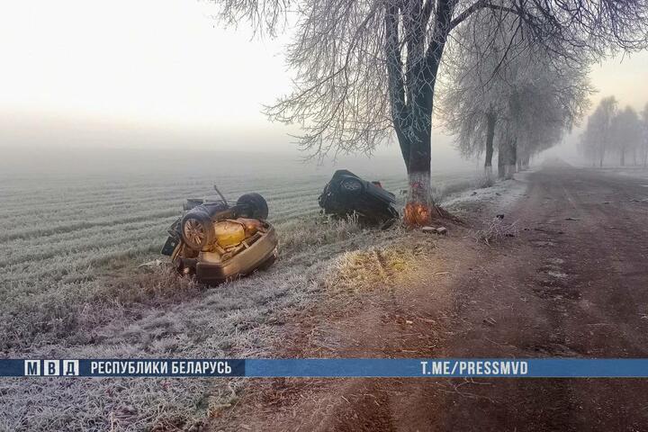 Авария в Ветковском районе. 16 ноября 2025 года. Фото: ГАИ