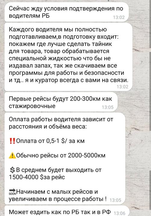 Под одной из вакансий журналисту предложили перевозить наркотики. Ноябрь, 2023 года. Скриншот переписки с "рекрутером"