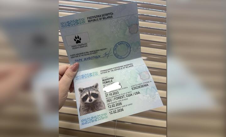 Новый паспорт енотихи из США (ранее ее считали енотом Сеней). Фото: threads.com/@animalspark.by