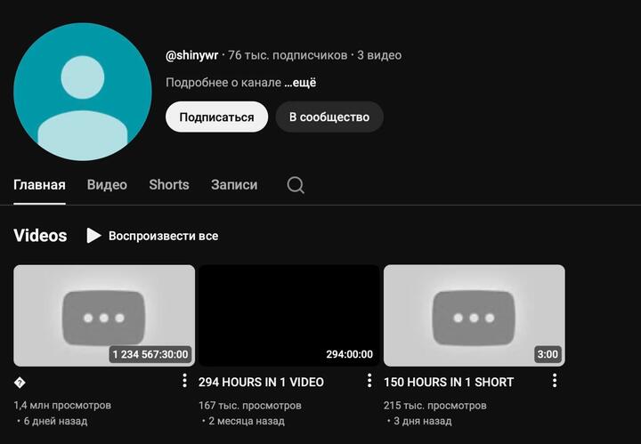Скриншот: shinywr / YouTube