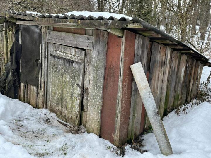 Сарай для хранения картофеля над склепом Радзивиллов в Аннополе. Фото: Дарья Надточаева / «Прысталічча»