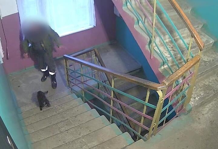 Во время издевательства над собакой. Скриншот видео с камеры видеонаблюдения